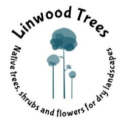 Linwood Tree Nursery